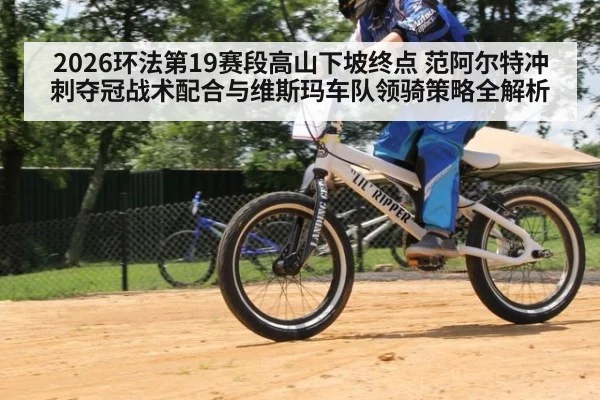 2026环法第19赛段高山下坡终点 范阿尔特冲刺夺冠战术配合与维斯玛车队领骑策略全解析