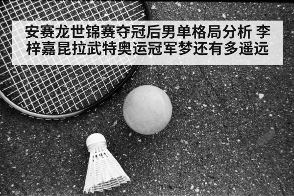 安赛龙世锦赛夺冠后男单格局分析 李梓嘉昆拉武特奥运冠军梦还有多遥远