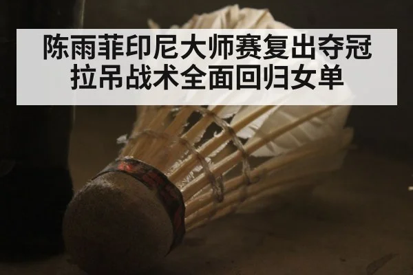 陈雨菲印尼大师赛复出夺冠 拉吊战术全面回归女单